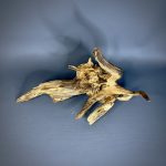 Коряга Дуба ДБ767 — изображение 4