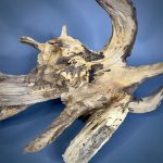 Коряга Дуба ДБ767 — изображение 5