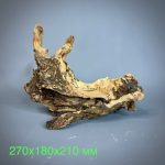 Коряга Дуба ДБ768 — изображение 2