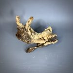 Коряга Дуба ДБ768 — изображение 3