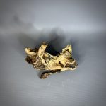 Коряга Дуба ДБ768 — изображение 4