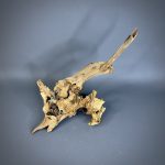 Коряга Дуба ДБ769 — изображение 3