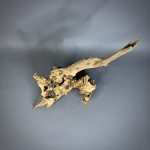 Коряга Дуба ДБ769 — изображение 4