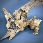 Коряга Дуба ДБ769 — изображение 5