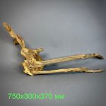 Коряга Дуба ДБ770 — изображение 2