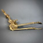 Коряга Дуба