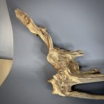 Коряга Дуба ДБ770 — изображение 3