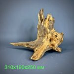 Коряга Дуба ДБ771 — изображение 2