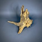 Коряга Дуба ДБ771 — изображение 3