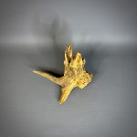 Коряга Дуба ДБ771 — изображение 4