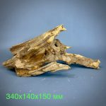 Коряга Дуба ДБ772 — изображение 2