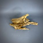 Коряга Дуба ДБ772 — изображение 3