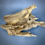 Коряга Дуба ДБ772 — изображение 5