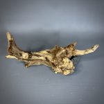 Коряга Дуба ДБ773 — изображение 3