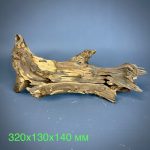 Коряга Дуба ДБ774 — изображение 2