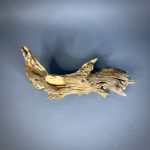 Коряга Дуба ДБ774 — изображение 3