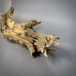 Коряга Дуба ДБ774 — изображение 5