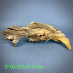 Коряга Дуба ДБ775 — изображение 2