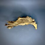 Коряга Дуба ДБ775 — изображение 3