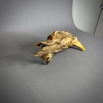 Коряга Дуба ДБ775 — изображение 5