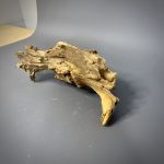 Коряга Дуба ДБ775 — изображение 6