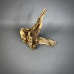 Коряга Дуба ДБ776 — изображение 3