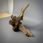 Коряга Дуба ДБ776 — изображение 7