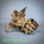 Коряга Дуба ДБ777 — изображение 2