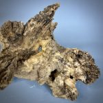 Коряга Дуба ДБ777 — изображение 5