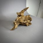 Коряга Дуба ДБ777 — изображение 6