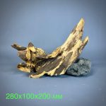 Коряга Дуба ДБ778 — изображение 2