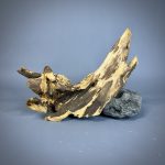 Коряга Дуба