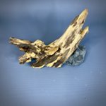 Коряга Дуба ДБ778 — изображение 3