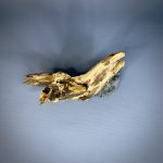 Коряга Дуба ДБ778 — изображение 4