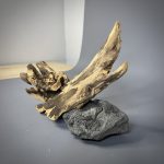 Коряга Дуба ДБ778 — изображение 7