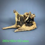 Коряга Дуба ДБ780 — изображение 2