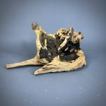 Коряга Дуба