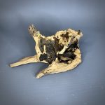 Коряга Дуба ДБ780 — изображение 3