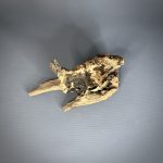 Коряга Дуба ДБ780 — изображение 4