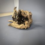 Коряга Дуба ДБ780 — изображение 6