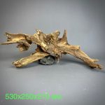 Коряга Дуба ДБ781 — изображение 2