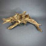 Коряга Дуба ДБ781 — изображение 3