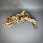 Коряга Дуба ДБ781 — изображение 4