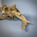 Коряга Дуба ДБ781 — изображение 6