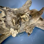 Коряга Дуба ДБ781 — изображение 7