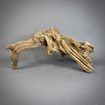 Коряга Дуба ДБ781 — изображение 8