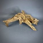 Коряга Дуба ДБ781 — изображение 9