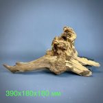 Коряга Дуба ДБ782 — изображение 2