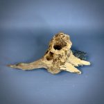 Коряга Дуба ДБ782 — изображение 3