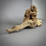 Коряга Дуба ДБ782 — изображение 5